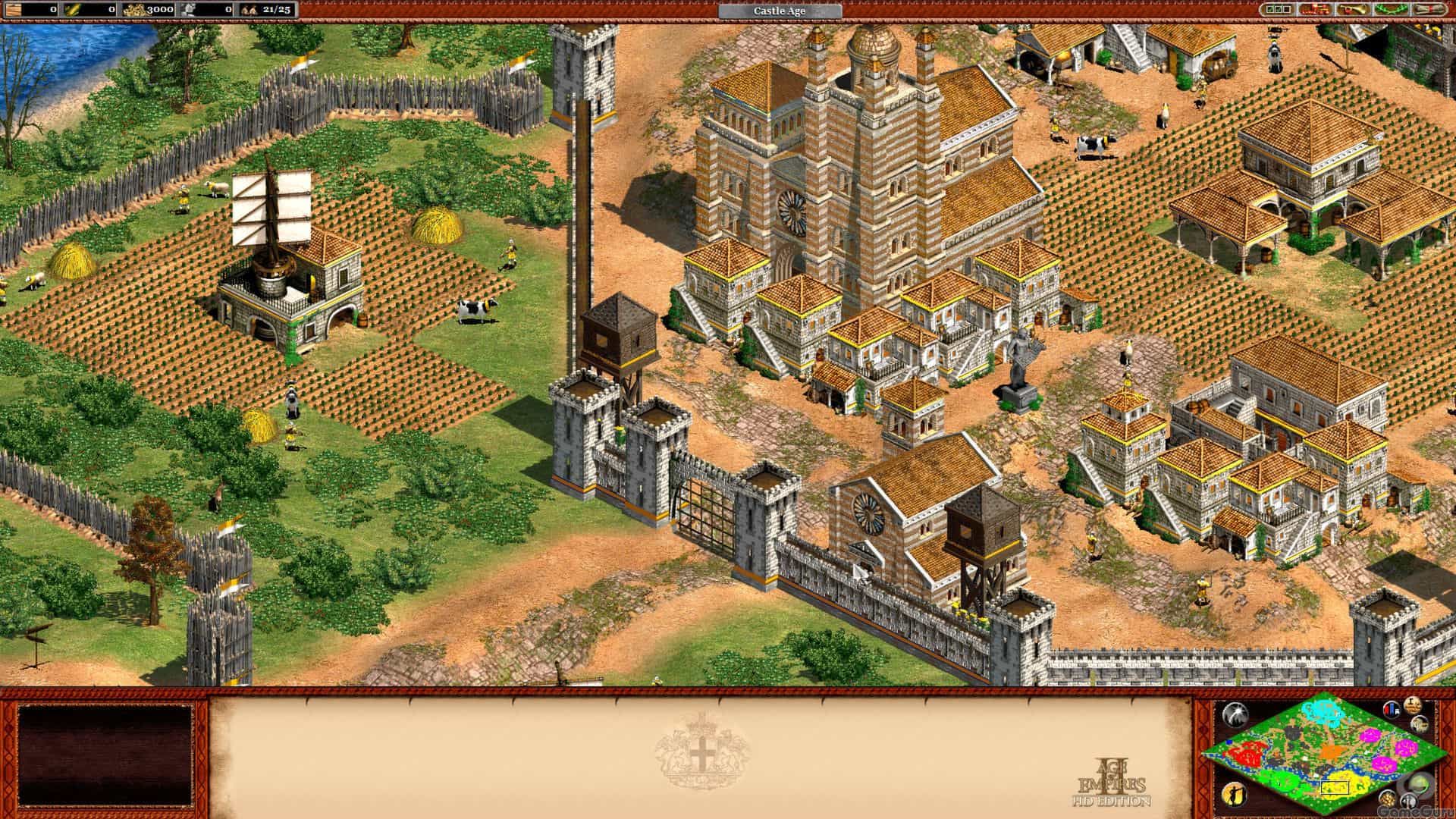 Age of Empires 2