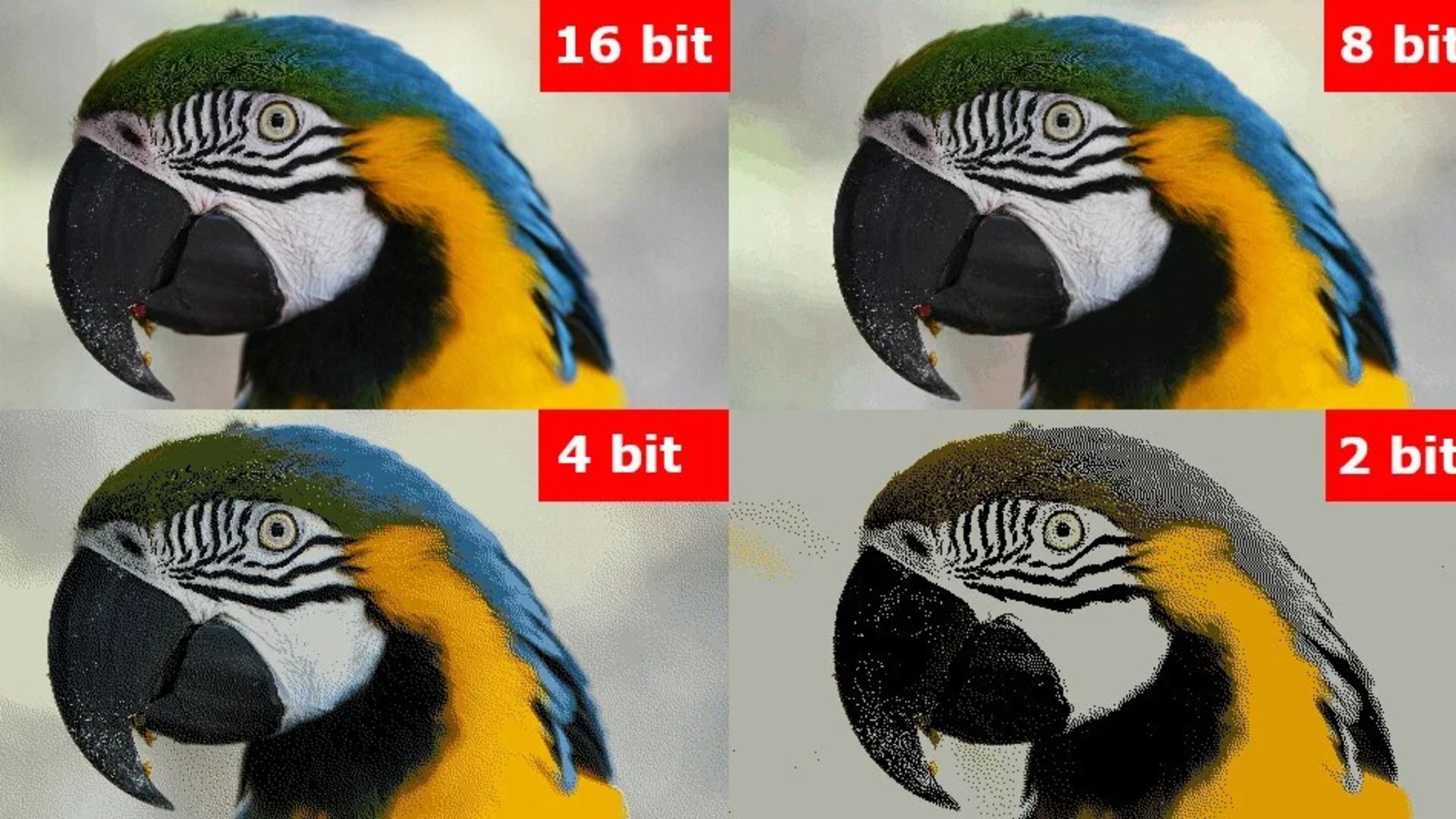 Влияние разных методов квантизации на качество генерации изображения