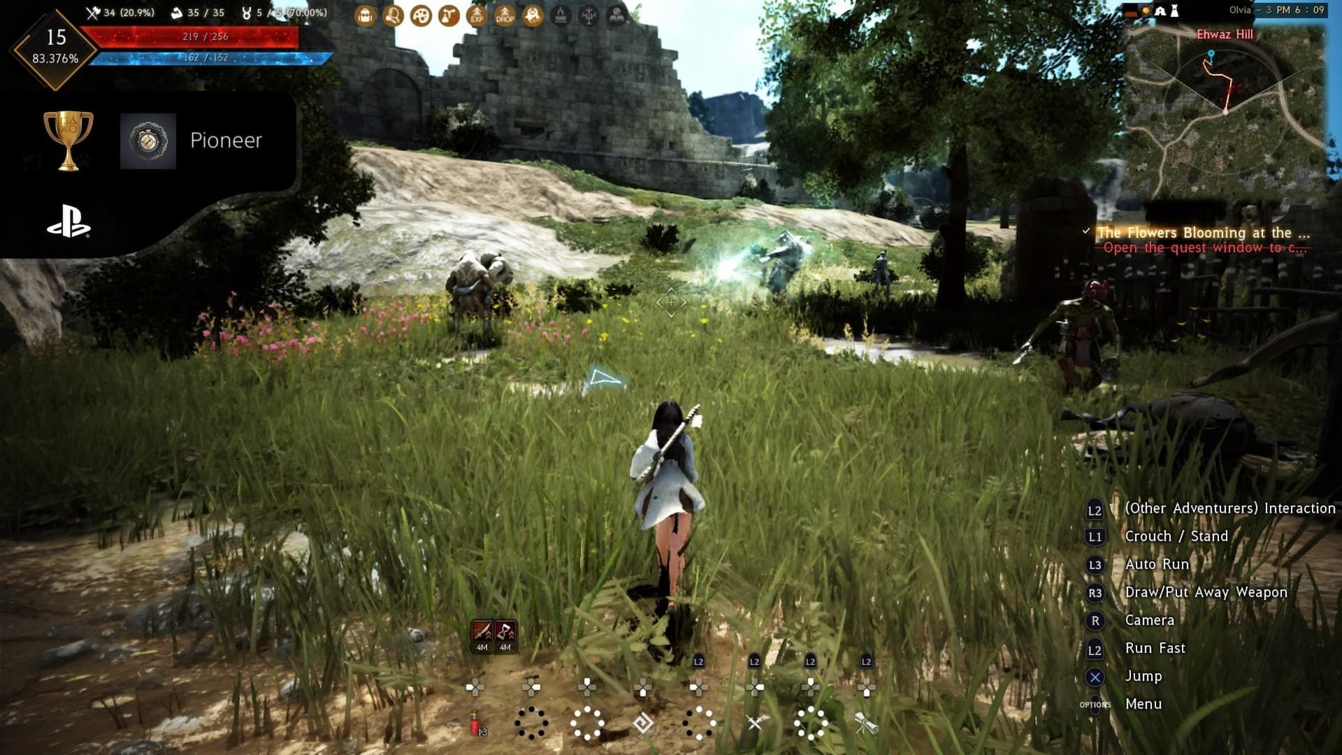 Black Desert Online