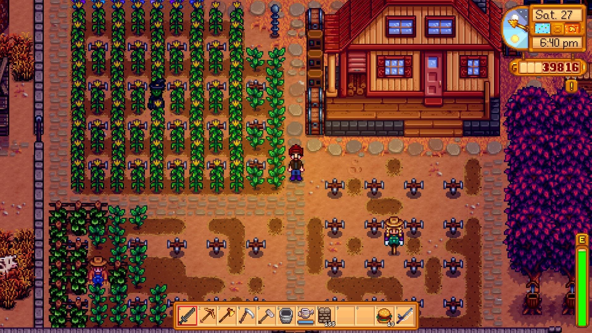 Stardew Valley