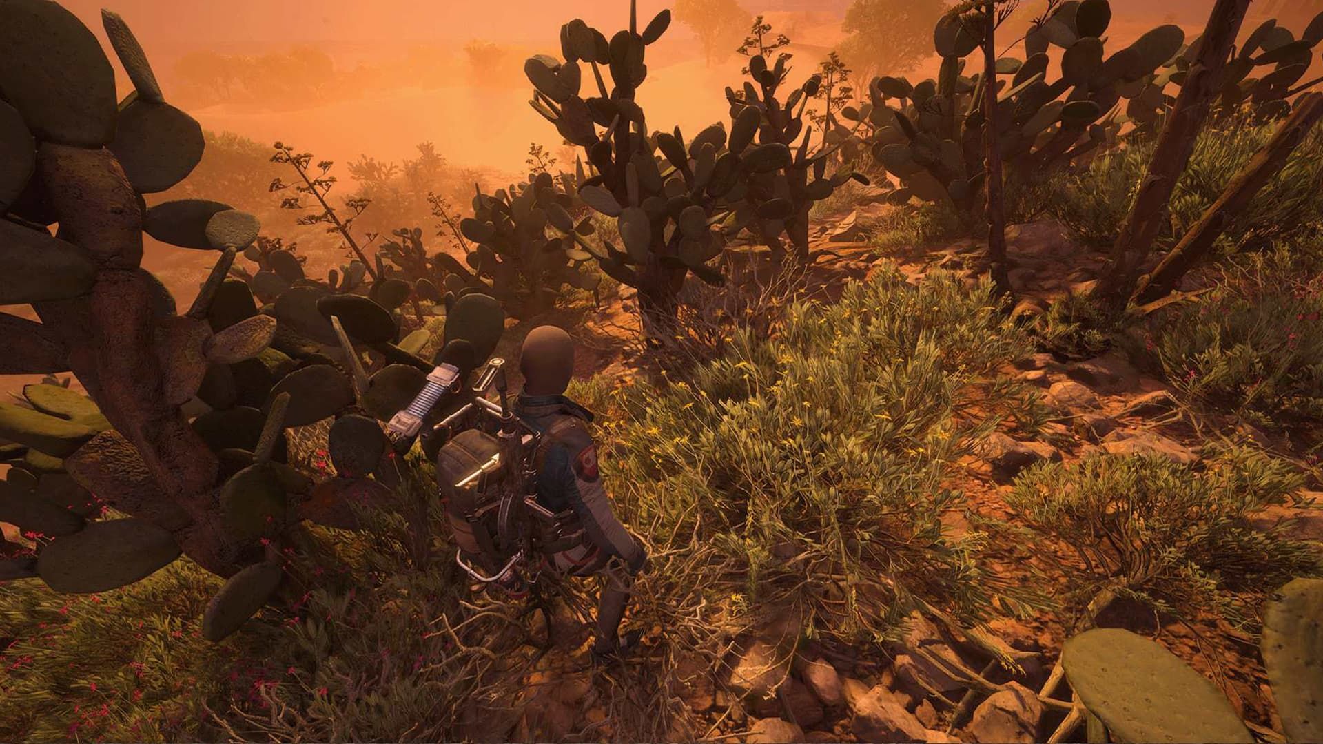 Опунция Arc Raiders