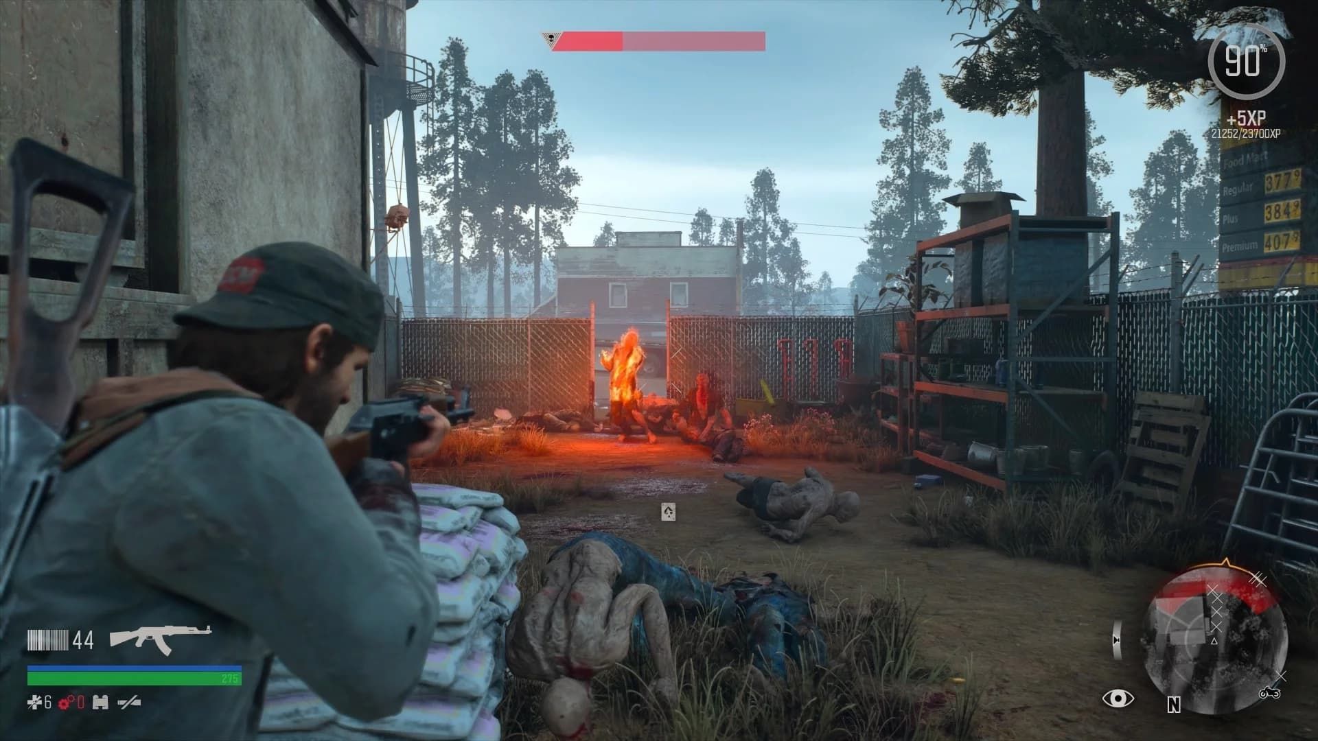 Days Gone