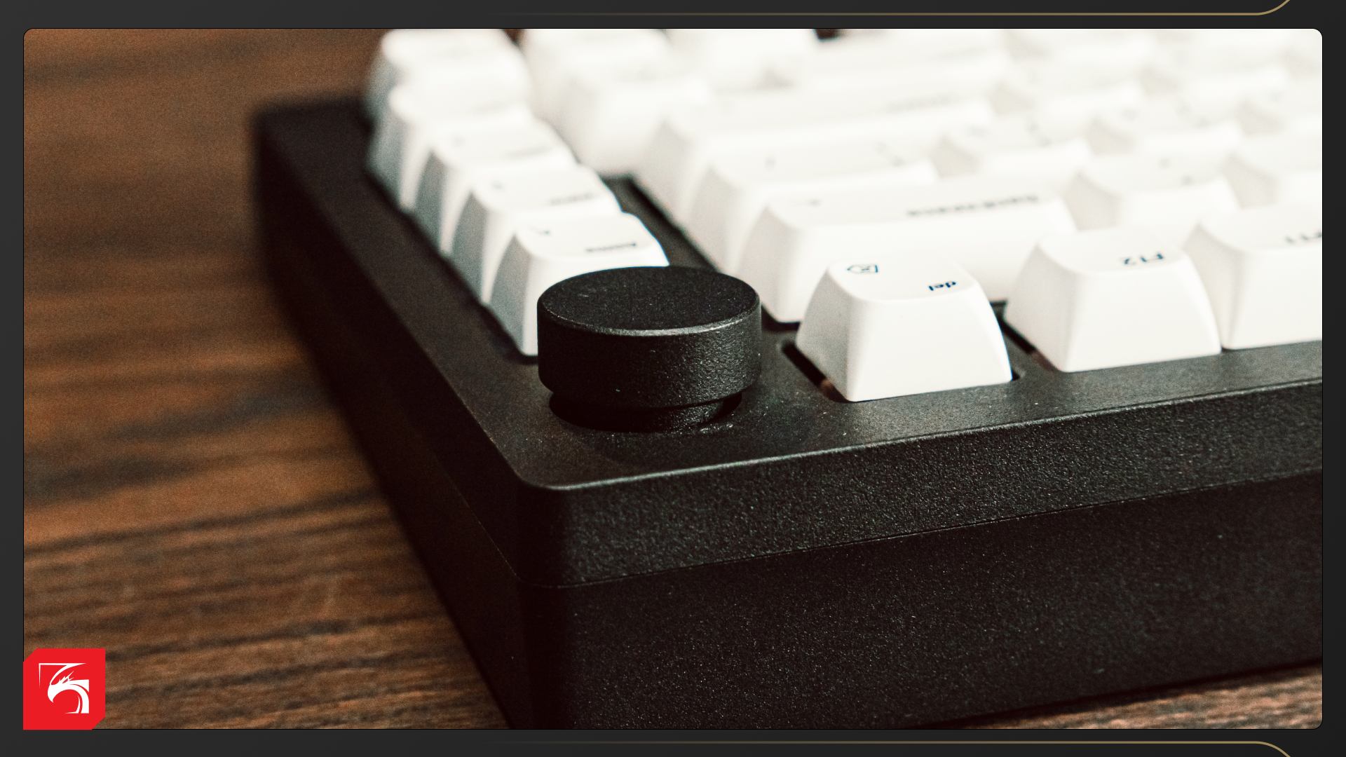 Обзор клавиатур DigitalRazor. Кастом в каждый дом