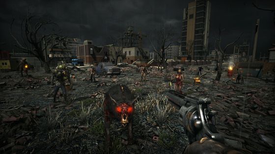 Суровые земли