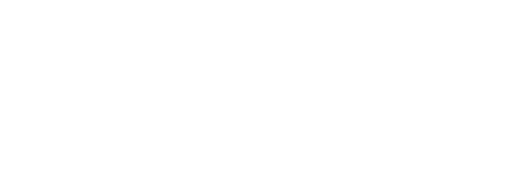 Genshin Impact