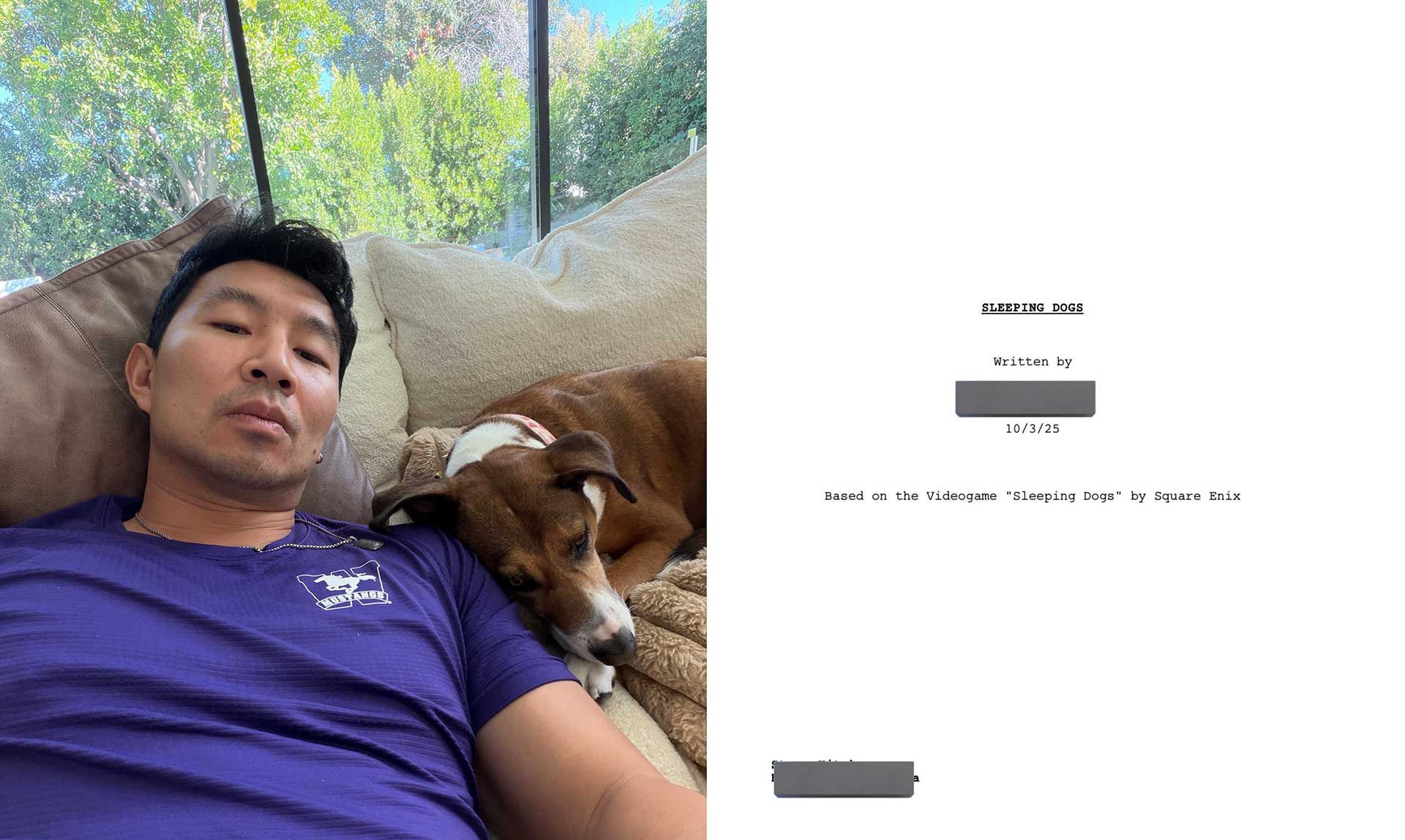 Фильм Sleeping Dogs