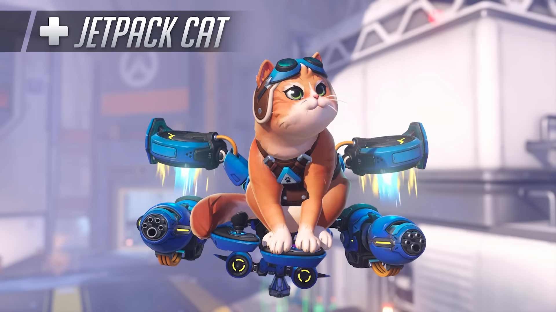 Jetpack Cat
