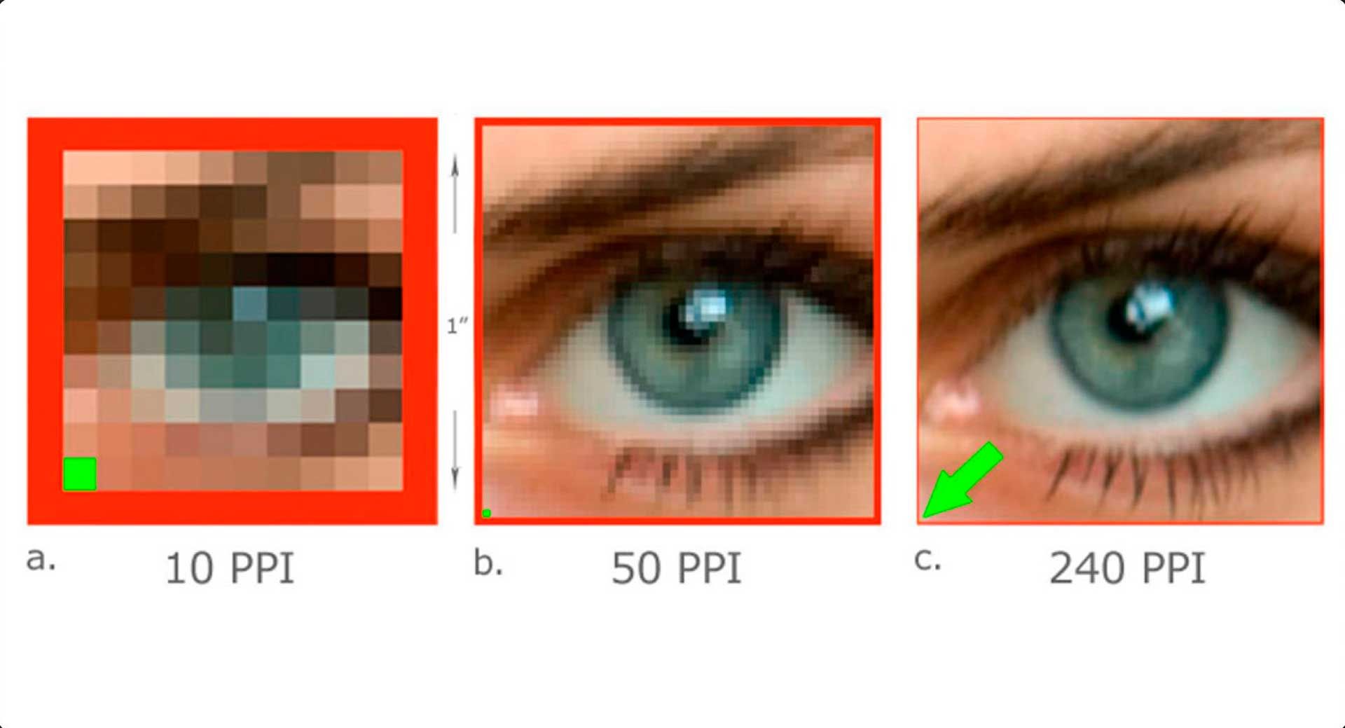 Сколько писклей видит глаз