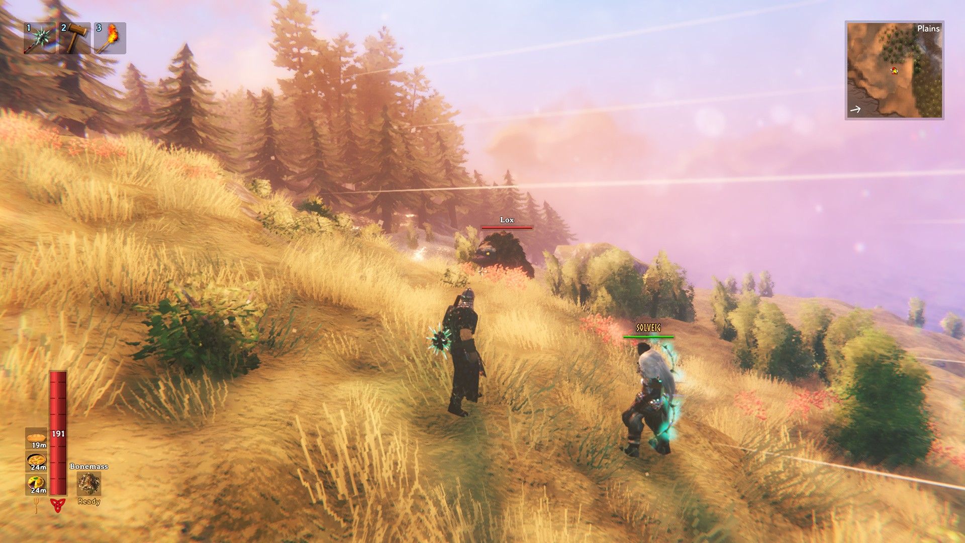 Valheim