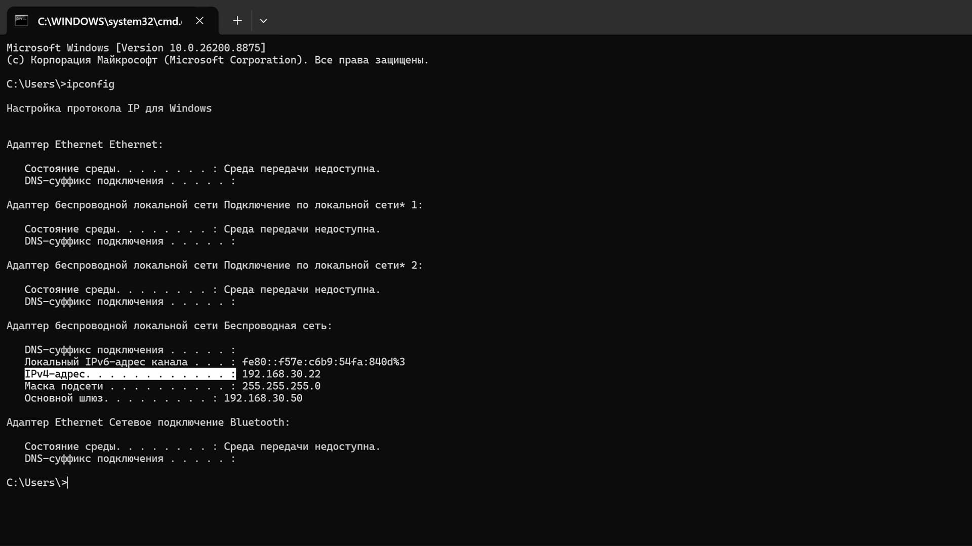 ipconfig IPv4