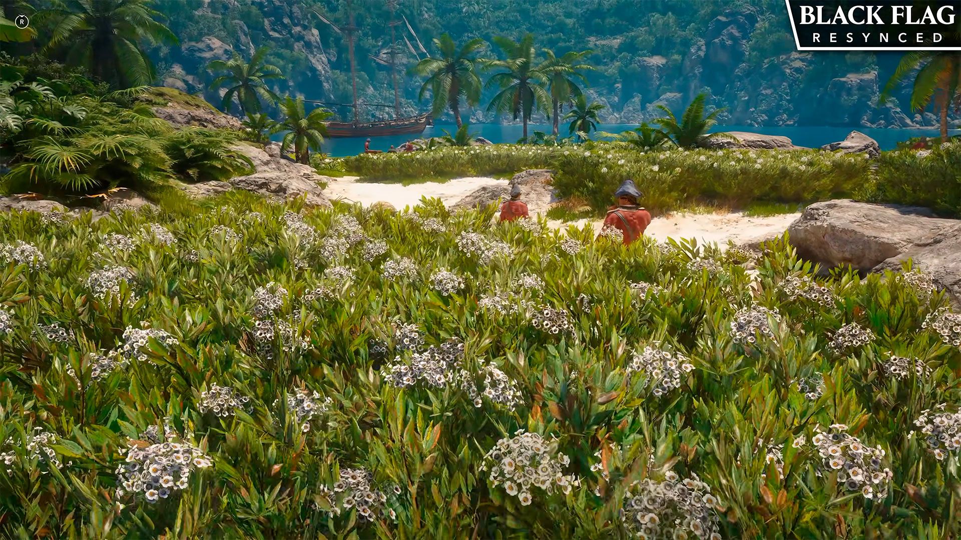 Assassin's Creed Black Flag Resynced
