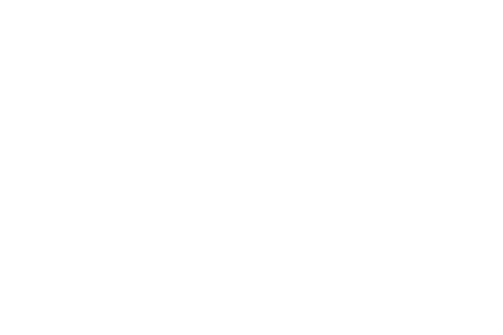 OpenAI GPT-OSS