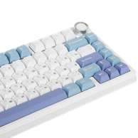 Клавиатура DigitalRazor AULA F75 White-Blue, фото №6