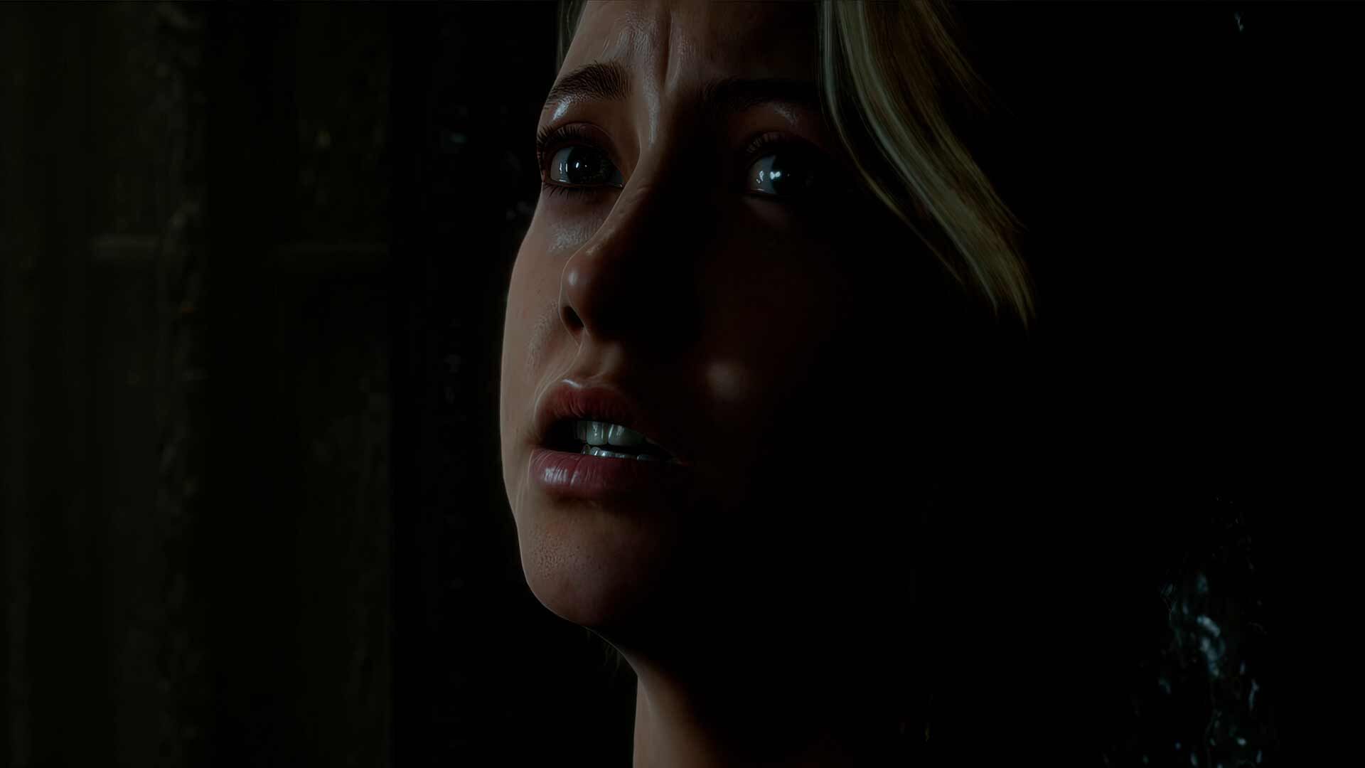 The Dark Pictures Anthology: Man of Medan (2019)