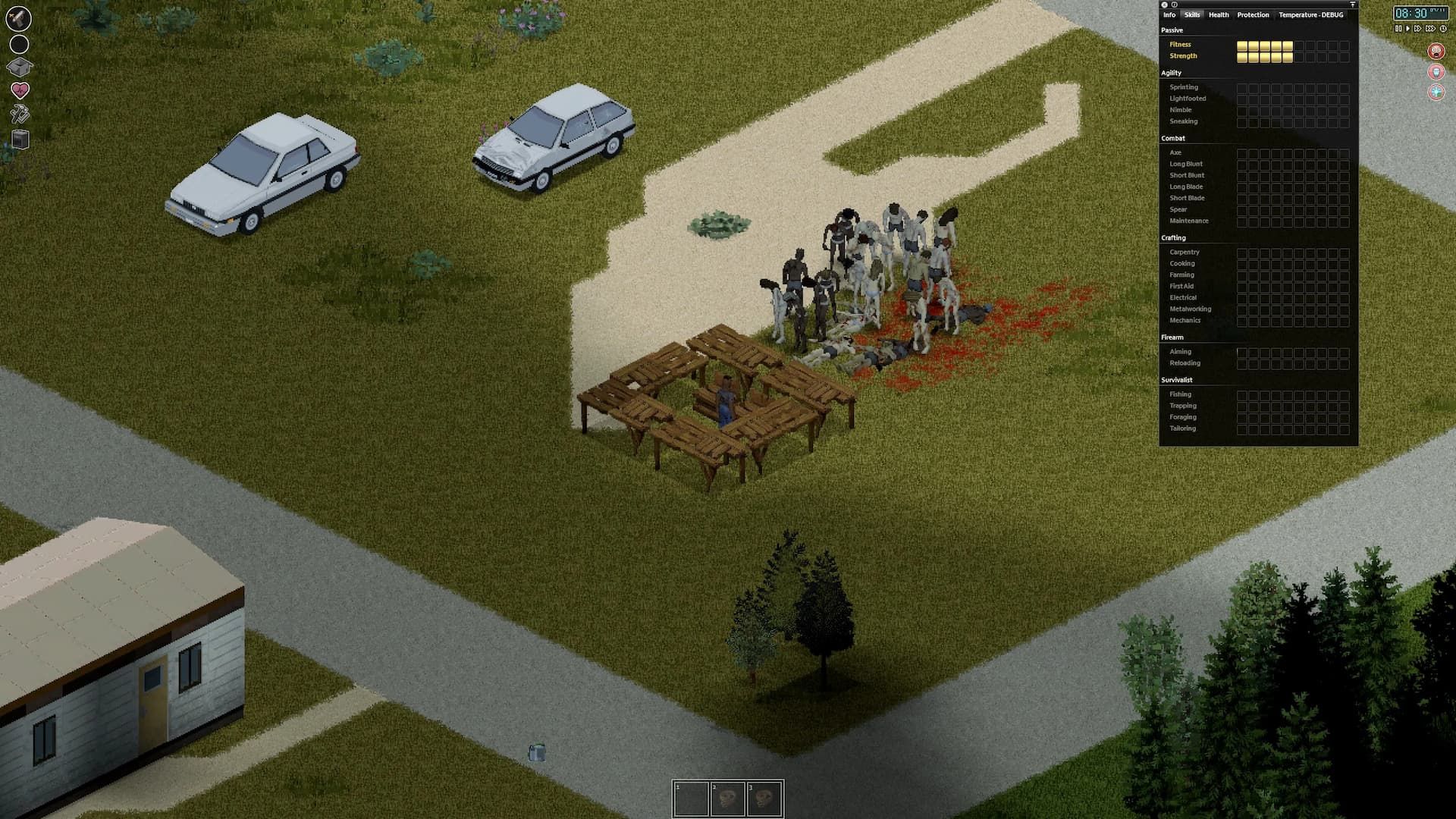 Project Zomboid