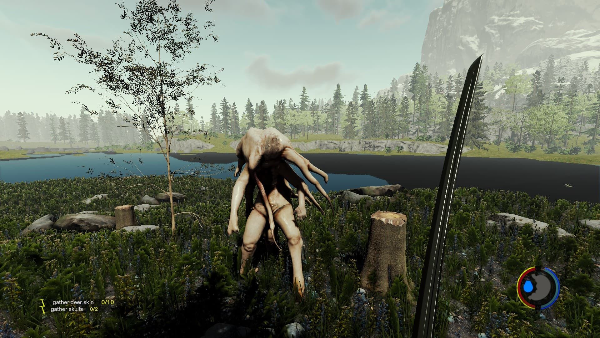 The Forest