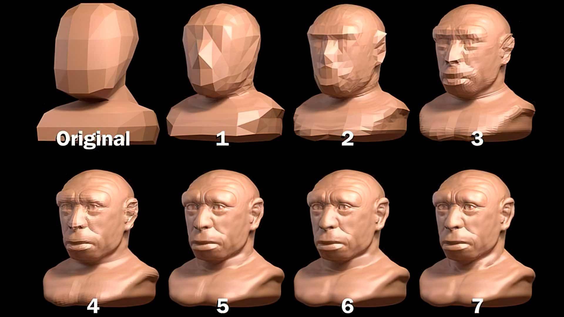 Поэтапный процесс скульптинга