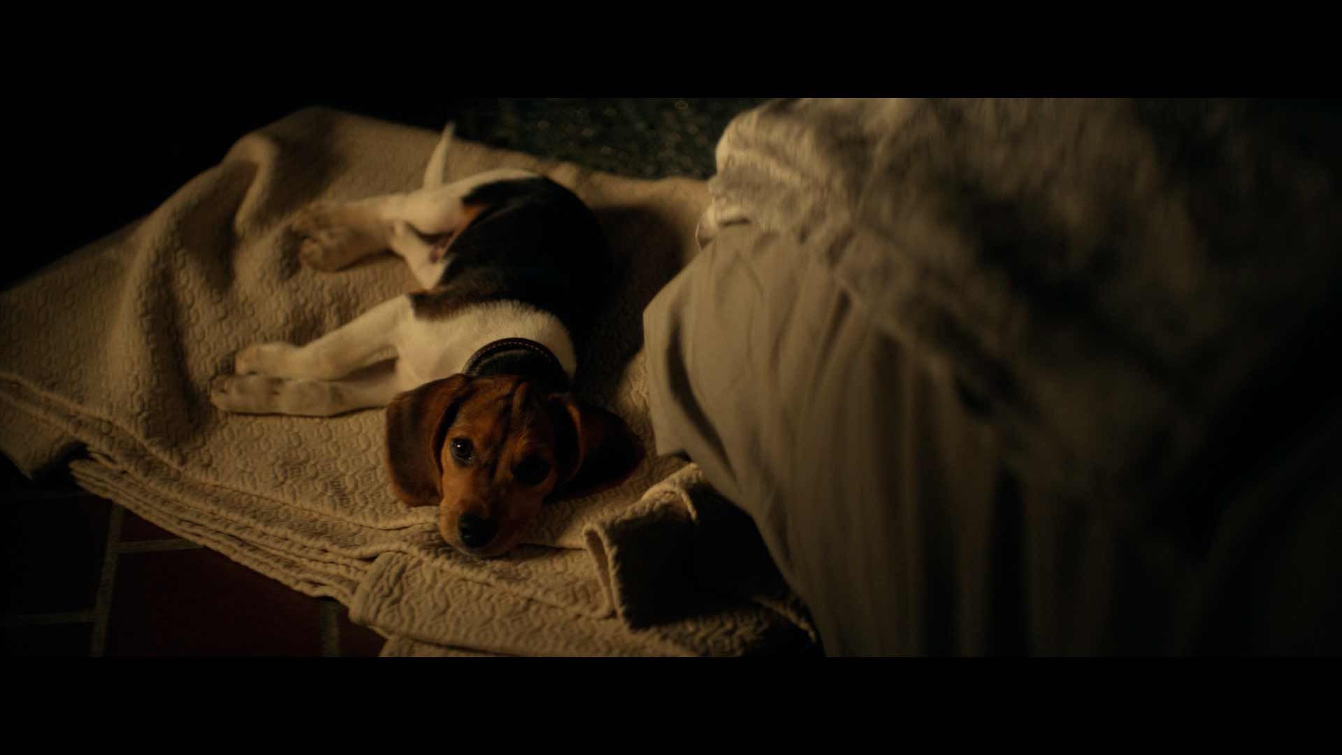 «Джон Уик» (2014)