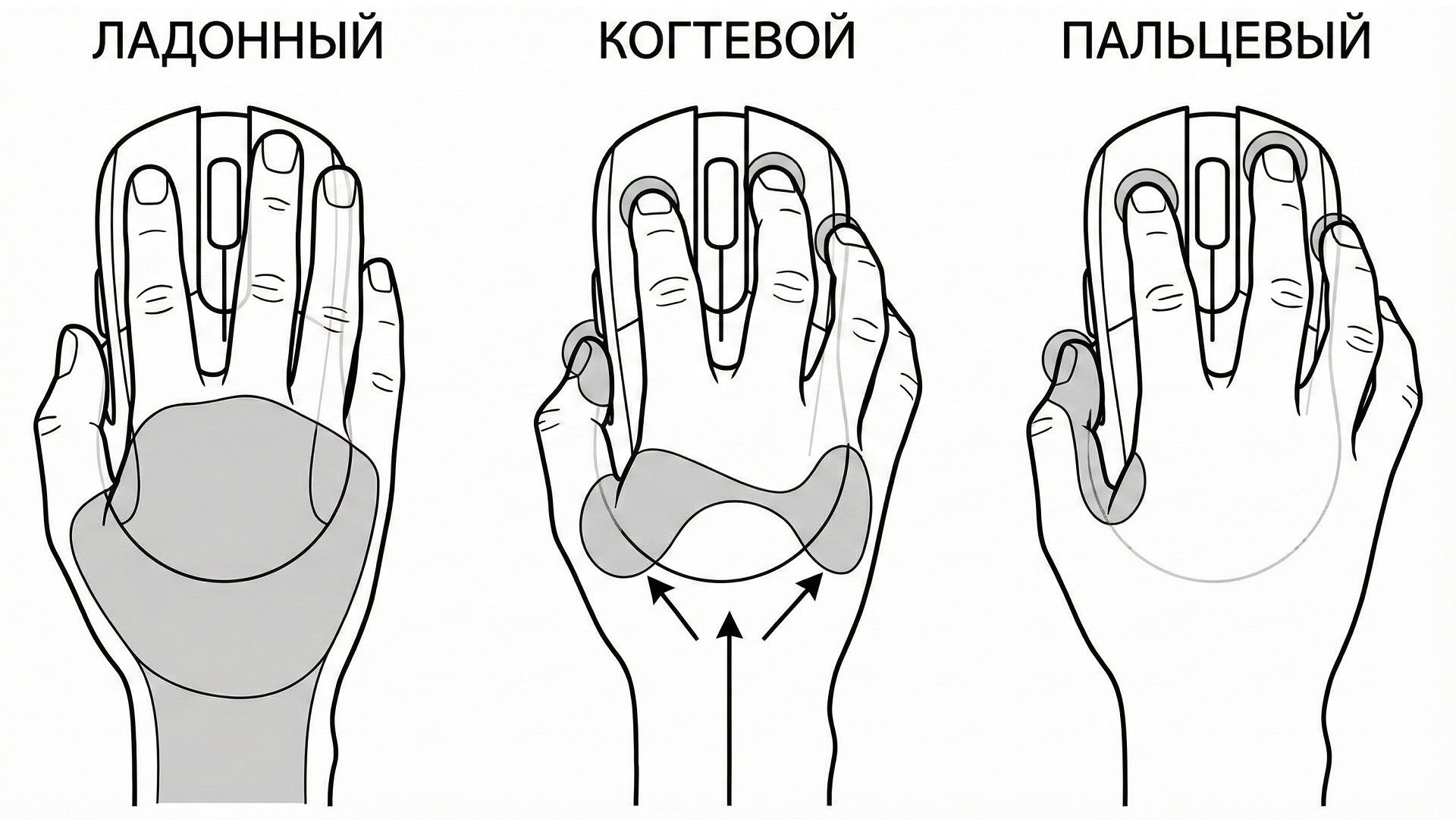 Типа хвата мыши
