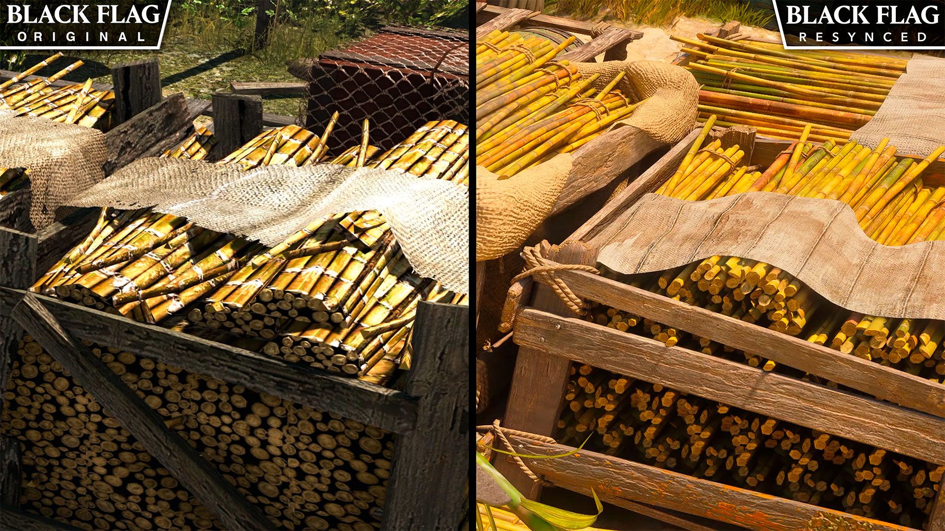 Assassin's Creed Black Flag Resynced