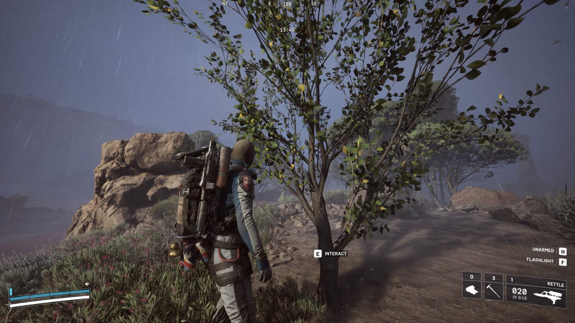 Абрикосы Arc Raiders