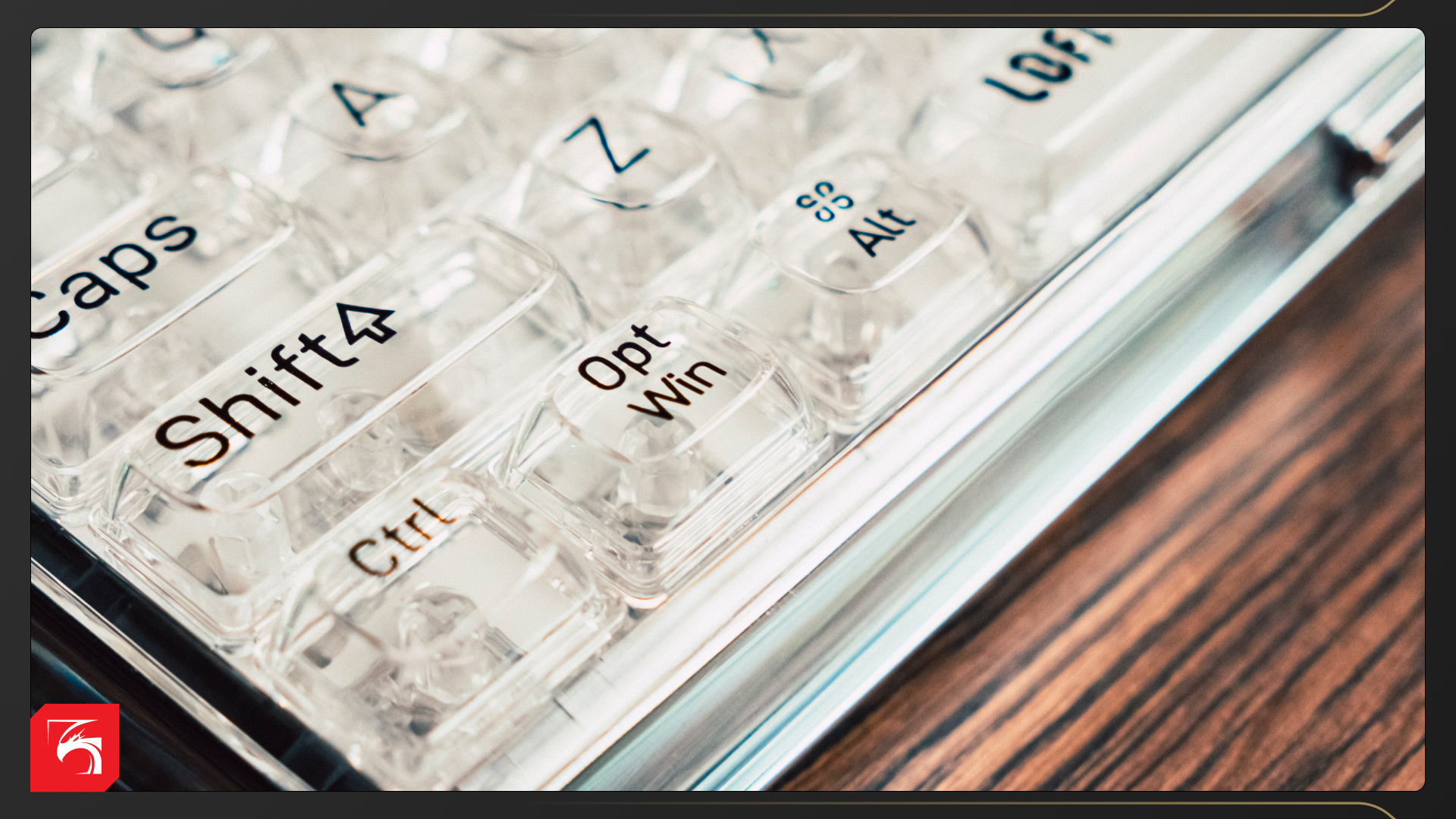 Обзор LoFree 1% Transparent. Либо любовь, либо нет 