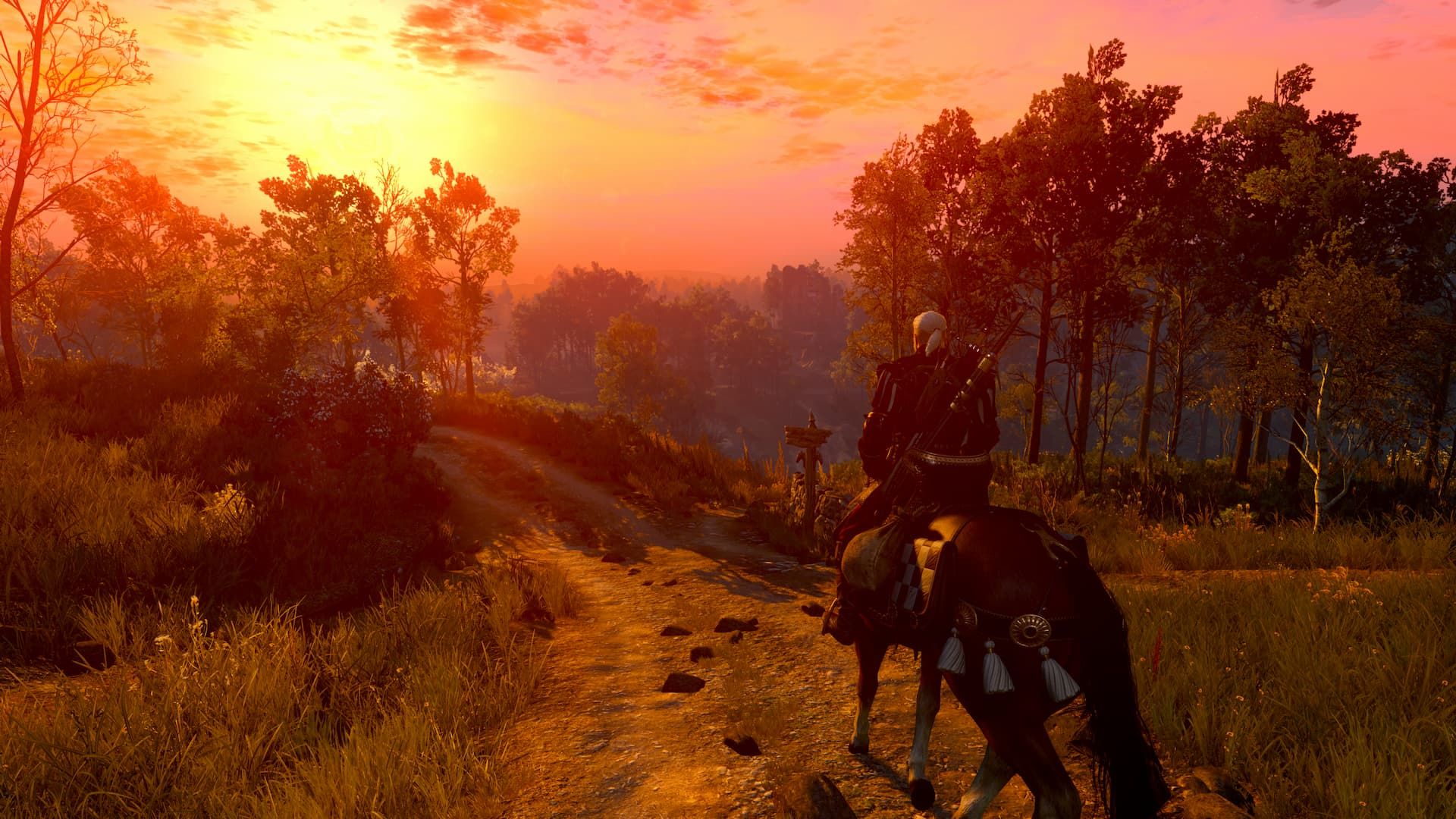 The Witcher 3: Wild Hunt — Remastered