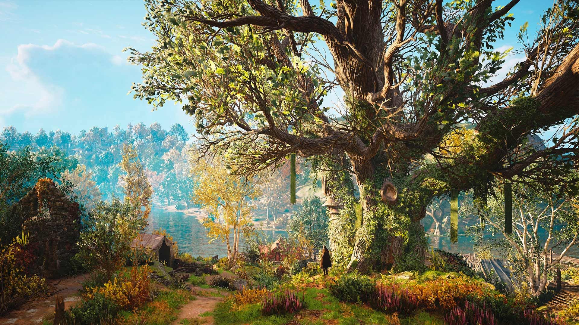 Assassin’s Creed Valhalla (2020)