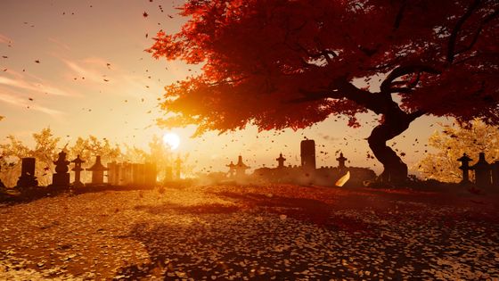 Гармония природы