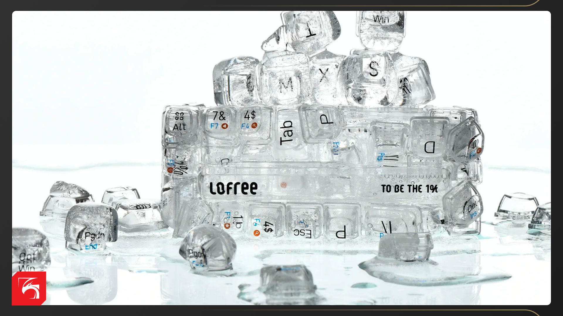 Обзор LoFree 1% Transparent. Либо любовь, либо нет 