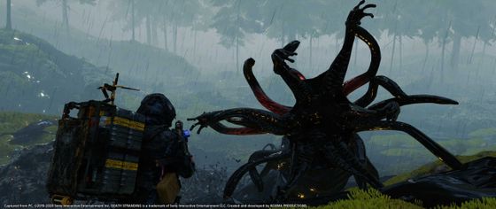 Мир сурового спокойствия