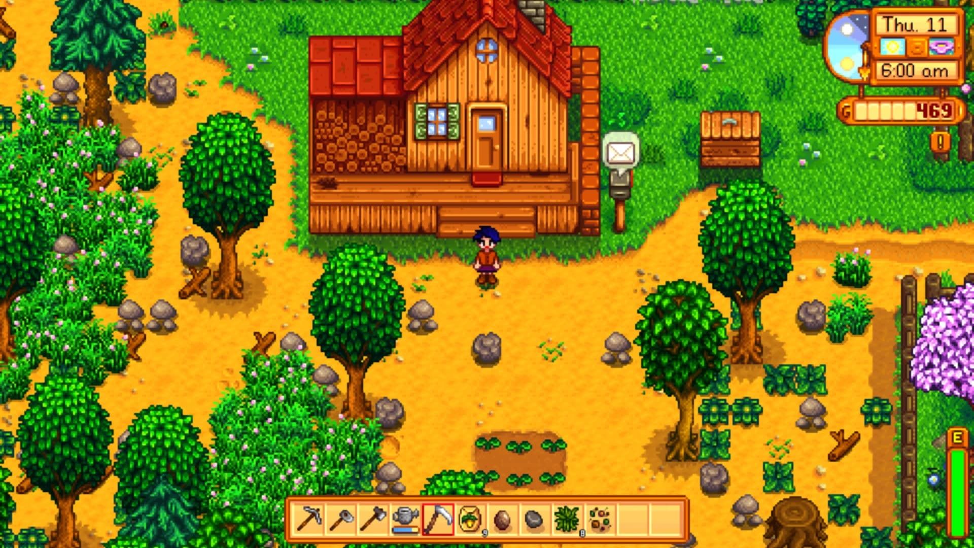 Stardew Valley