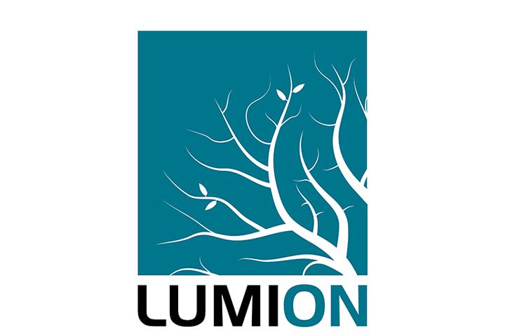 Lumion