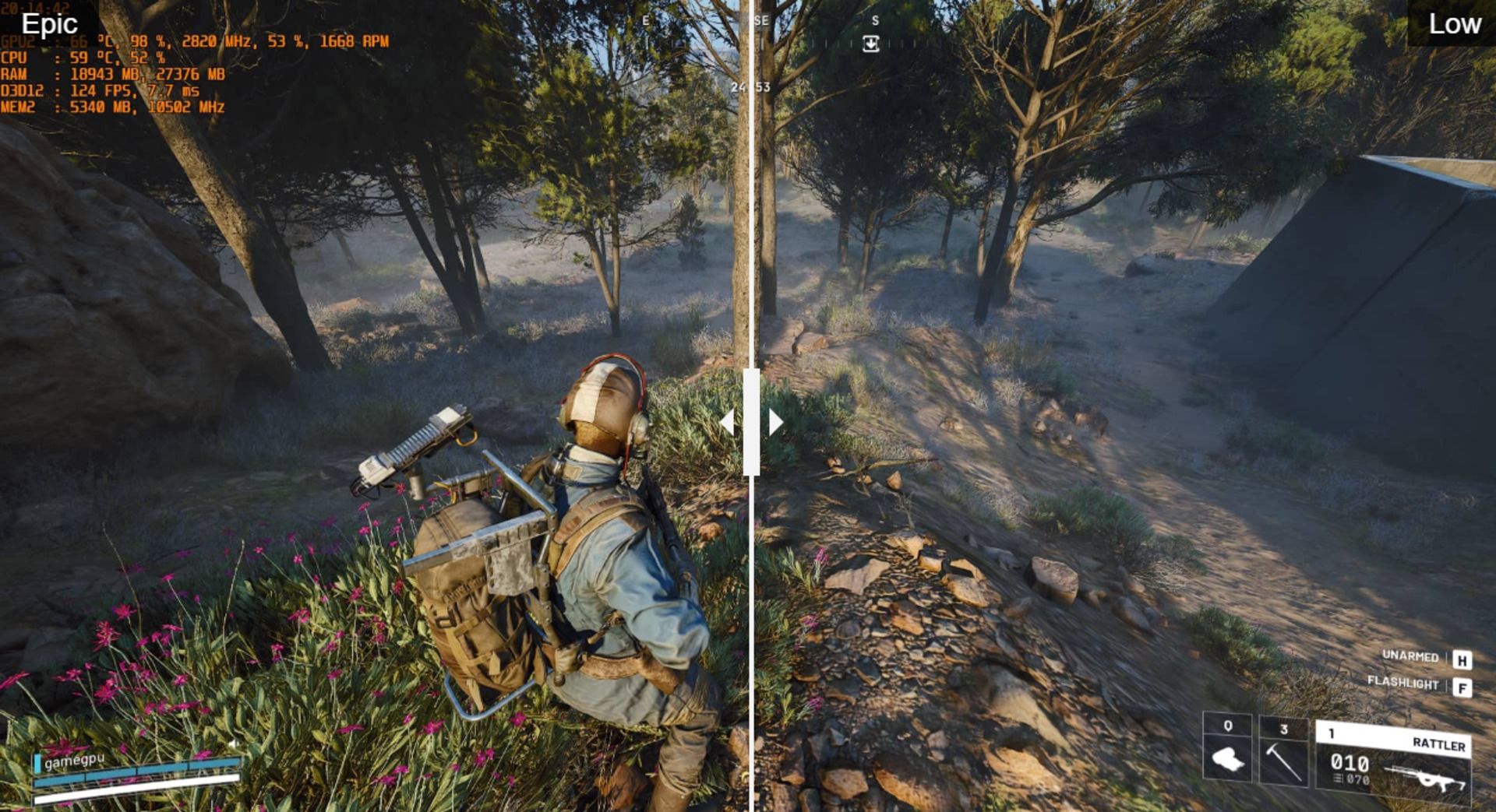 Разница в картинке между эпическим и низким уровнем растительности