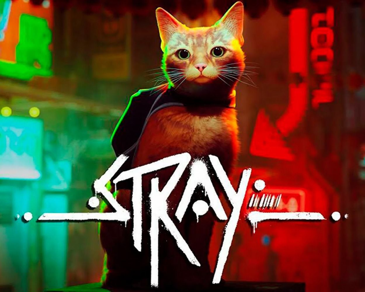 Жизнь глазами кота