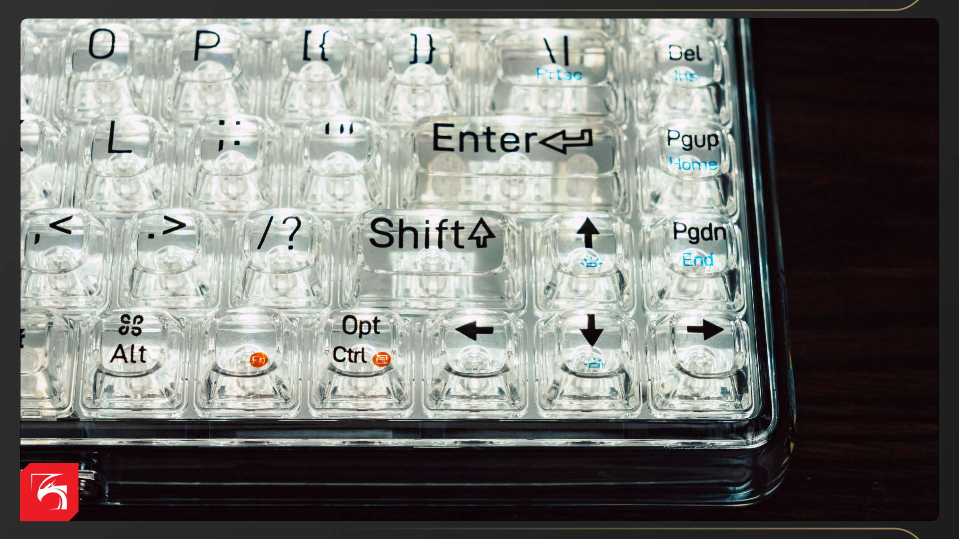 Обзор LoFree 1% Transparent. Либо любовь, либо нет 