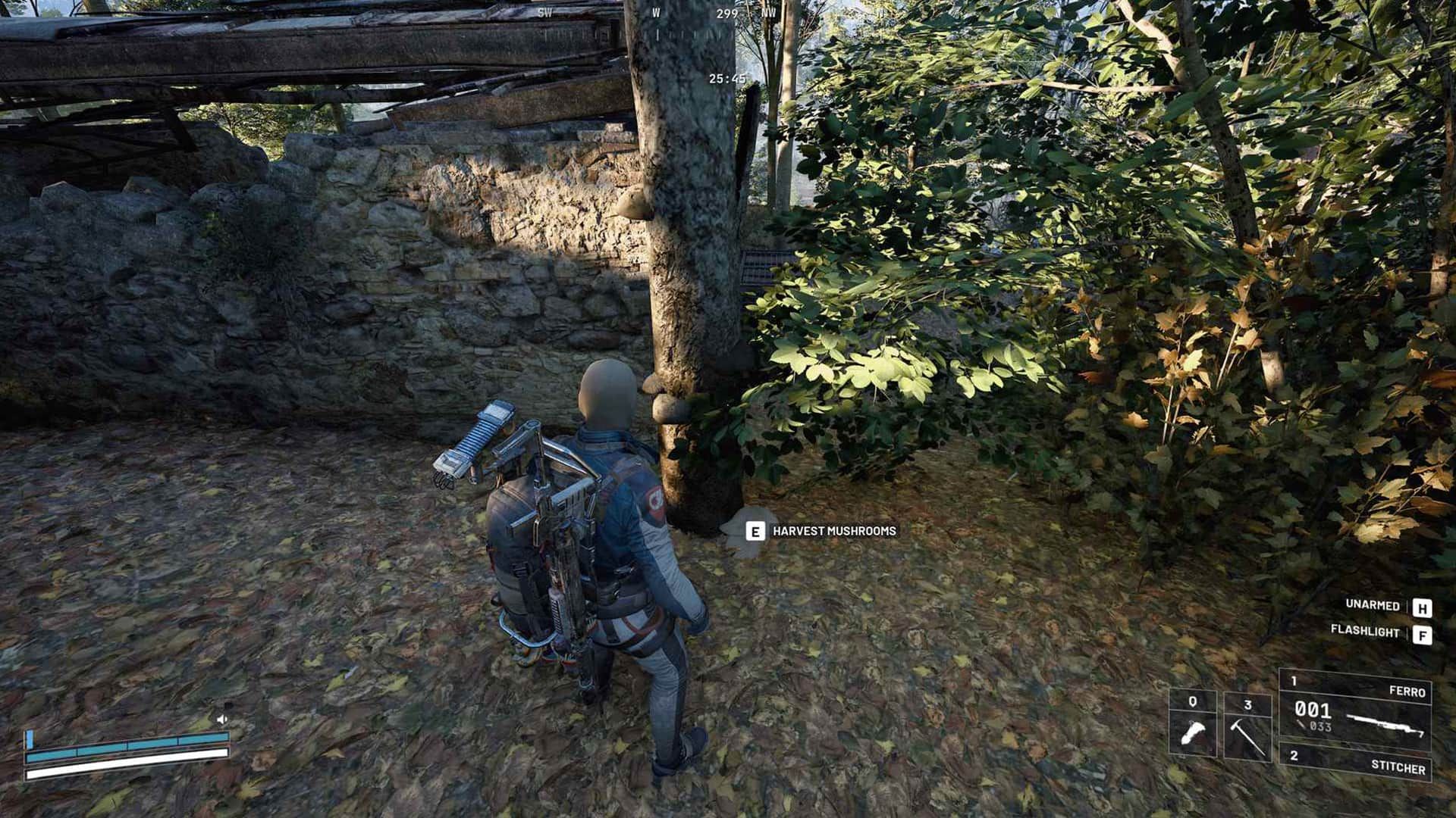 Гриб  Arc Raiders