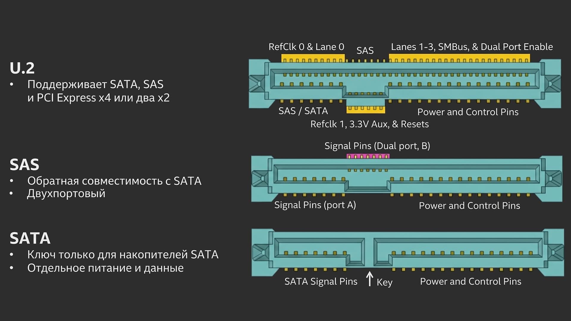 U.2 vs SAS vs SATA